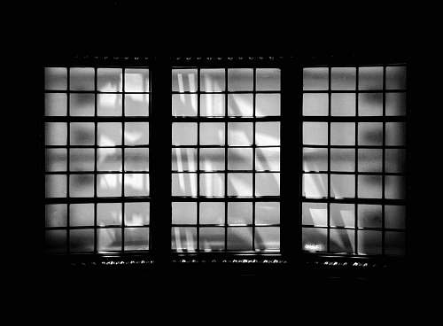 black-and-white  madison